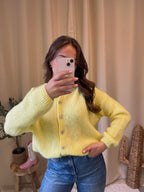 Pull cardigan mohair Romy